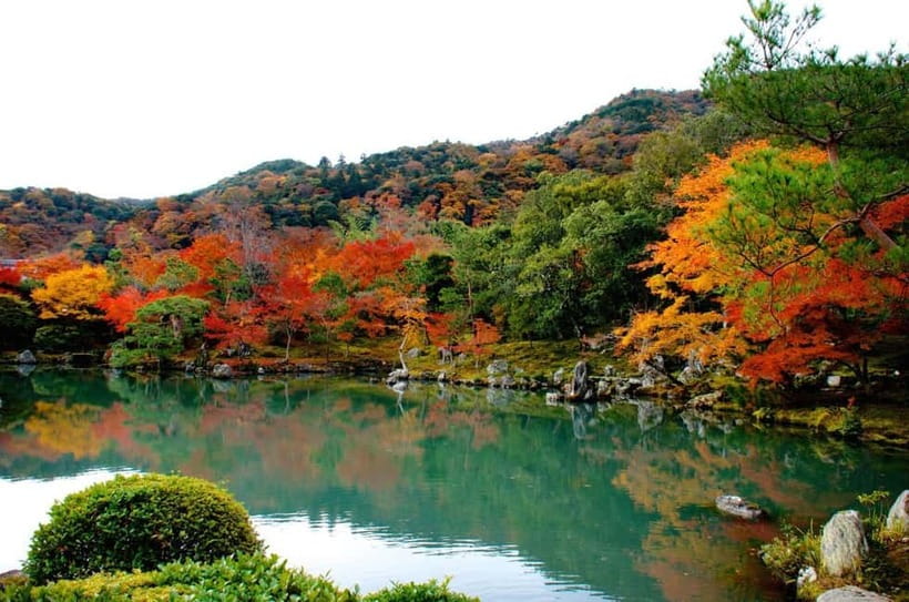 Kyoto: Highlights Guided Walking Tour - Nishiki-Tenmangu Shrine and Nishiki Market