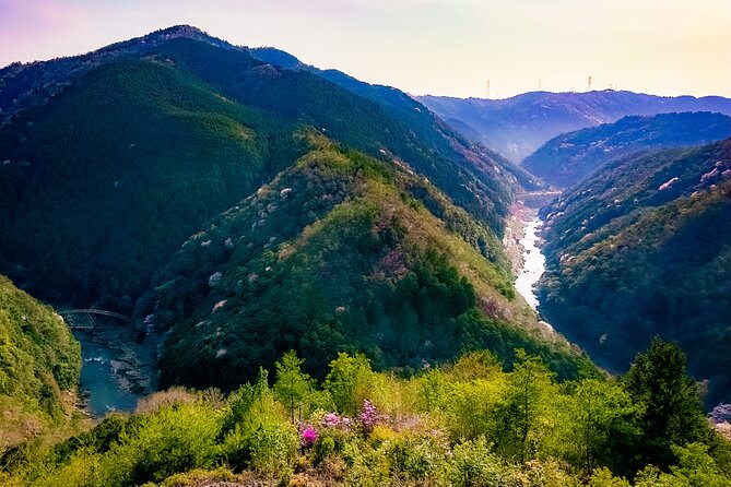 Kyoto Highlights & Hidden Gems in Nature (Private Van Eng-Guide) - Kitayama cedar country is the tour’s most unusual stop