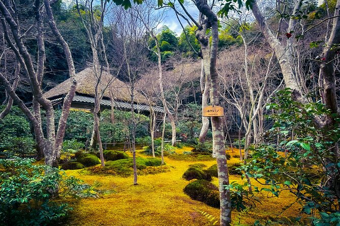 Kyoto Highlights & Hidden Gems in Nature (Private Van Eng-Guide) - A car ride through old geisha streets