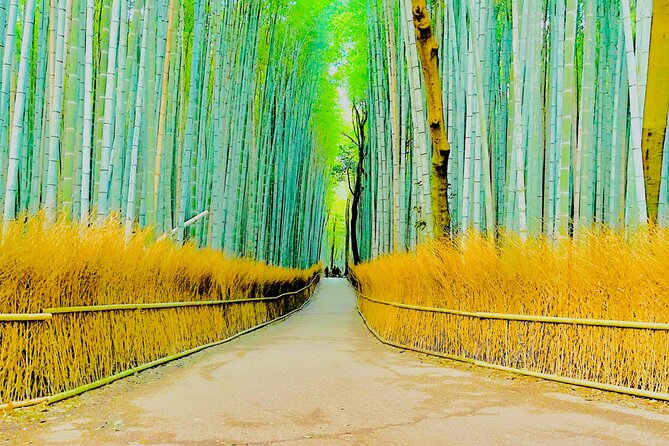 Kyoto Highlights Private Car Day Tour with English Speaking Guide - Why a private car helps in Kyoto