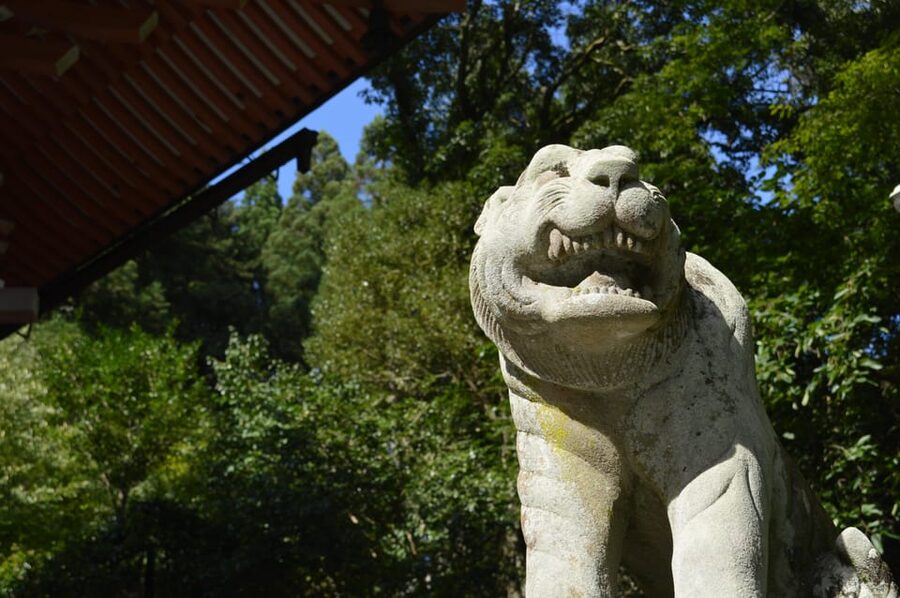 Kyoto: Hike and Hot Springs in Kurama - Guides, group size, and the human side of the walk