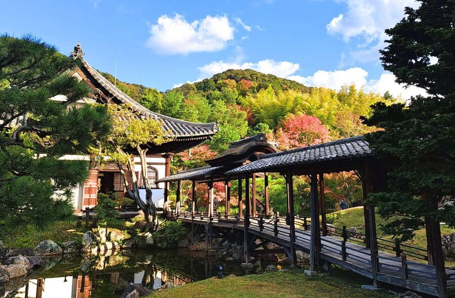 Kyoto: Historic Higashiyama Walking Tour - Under the red gates at Fushimi Inari