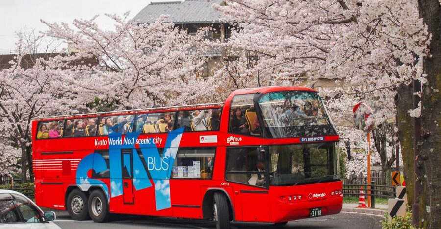 Kyoto: Hop-on Hop-off Sightseeing Bus Ticket - Key points to know before you ride