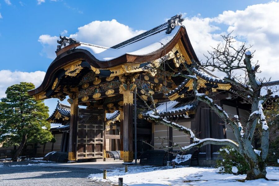 Kyoto: Imperial Palace & Nijo Castle Guided Walking Tour - How much the $49 price gets you