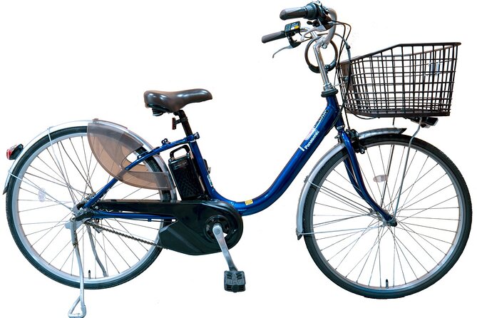 Kyoto in a Day by eBike: The Best Bits Tour (East Course) - Philosopher’s Path offers the day’s most peaceful cycling