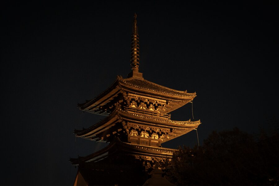 Kyoto: Izakaya Bars Guided Walking Tour - Is $25 a fair price?