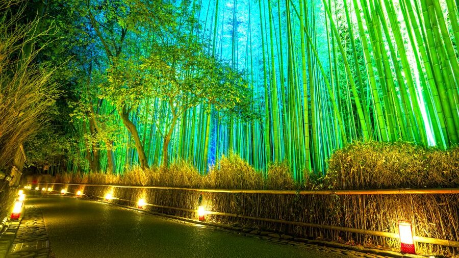 Kyoto: Japanese Gardens Private Customizable Tour - Why a private garden tour works well in Kyoto
