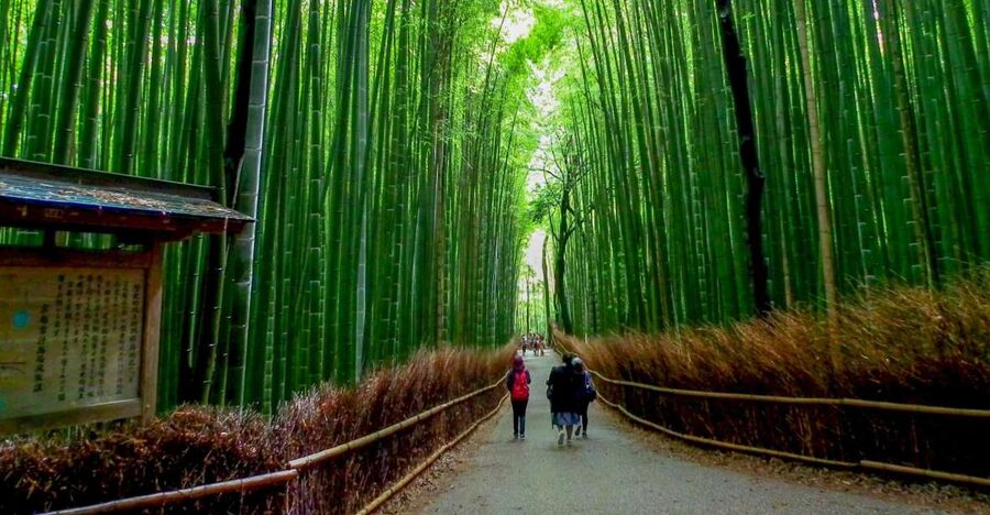 Kyoto: Japanese Gardens Private Customizable Tour - Arashiyama and bamboo: beautiful, but a different emphasis