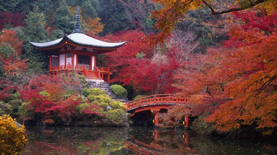 Kyoto: Japanese Gardens Private Customizable Tour - Imperial grounds, botanical gardens, and specialist choices