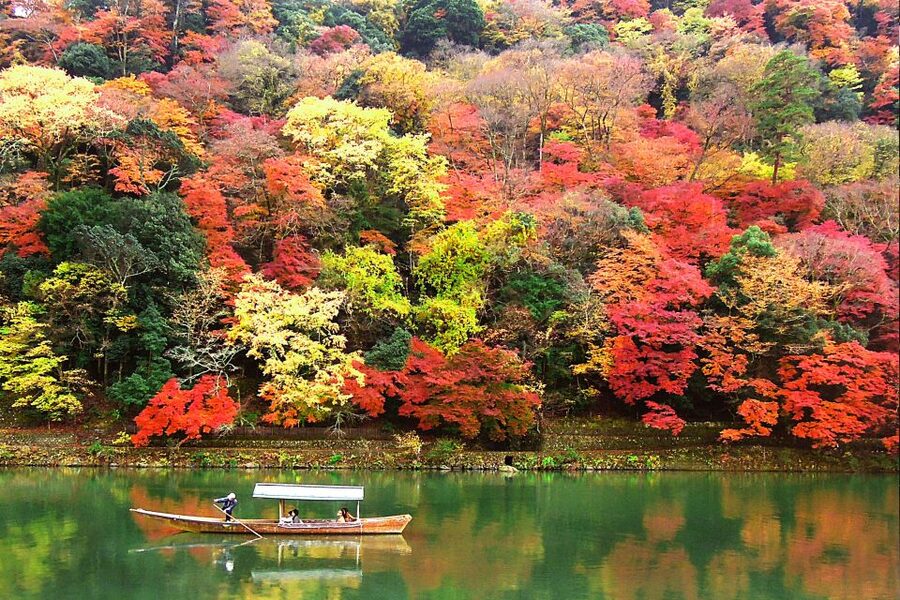 Kyoto: Japanese Gardens Private Customizable Tour - Who should book this garden experience