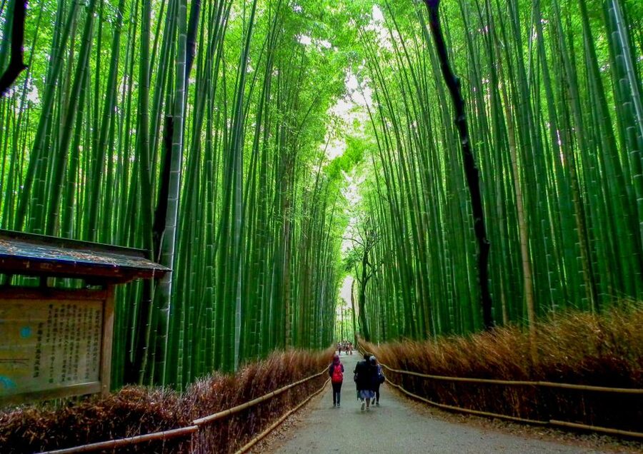 Kyoto: Japanese Gardens Private Customizable Tour - Quieter temple gardens at Honen-in, Nanzenji, and Tofuku-ji
