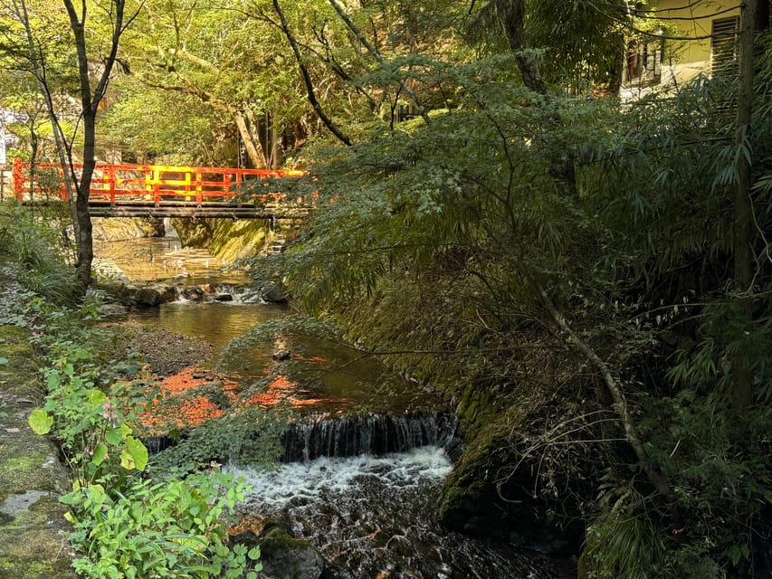 Kyoto: Kifune Shrine and the Sacred Kifune Valley Day Trip - Key points to know before booking