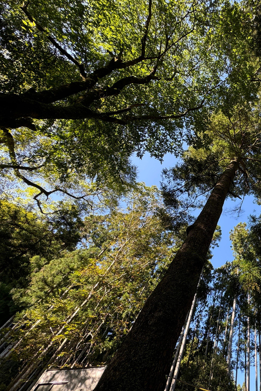 Kyoto: Kifune Shrine and the Sacred Kifune Valley Day Trip - Why Kifune Valley feels far from Kyoto