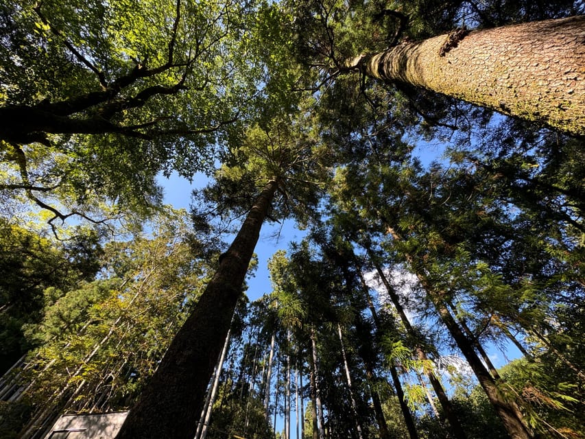 Kyoto: Kifune Shrine and the Sacred Kifune Valley Day Trip - My practical advice before you go