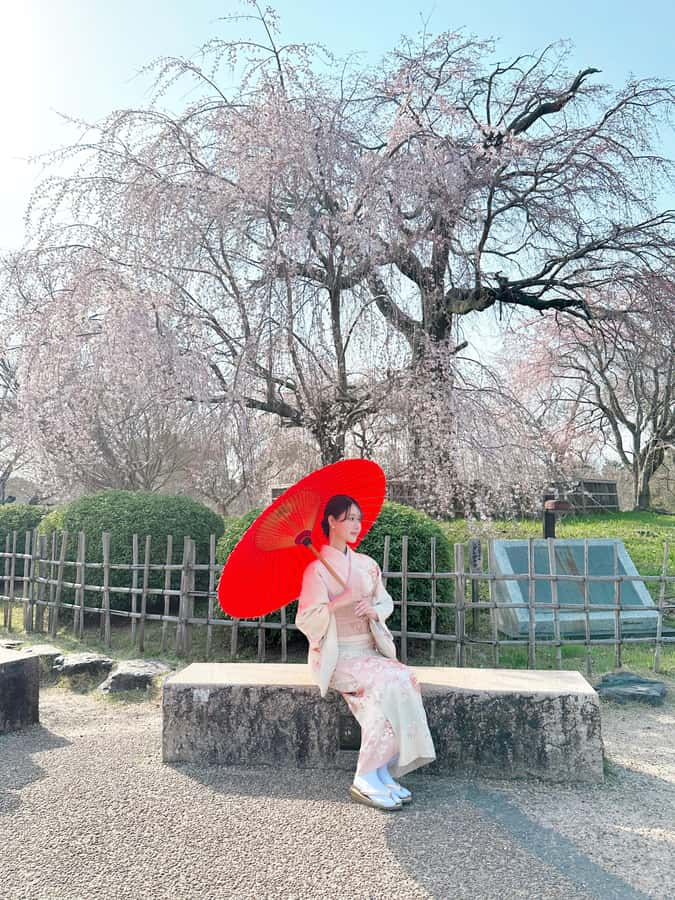 Kyoto: Kimono Rental Traditional Experience at Wargo in Gion - Who should book this experience