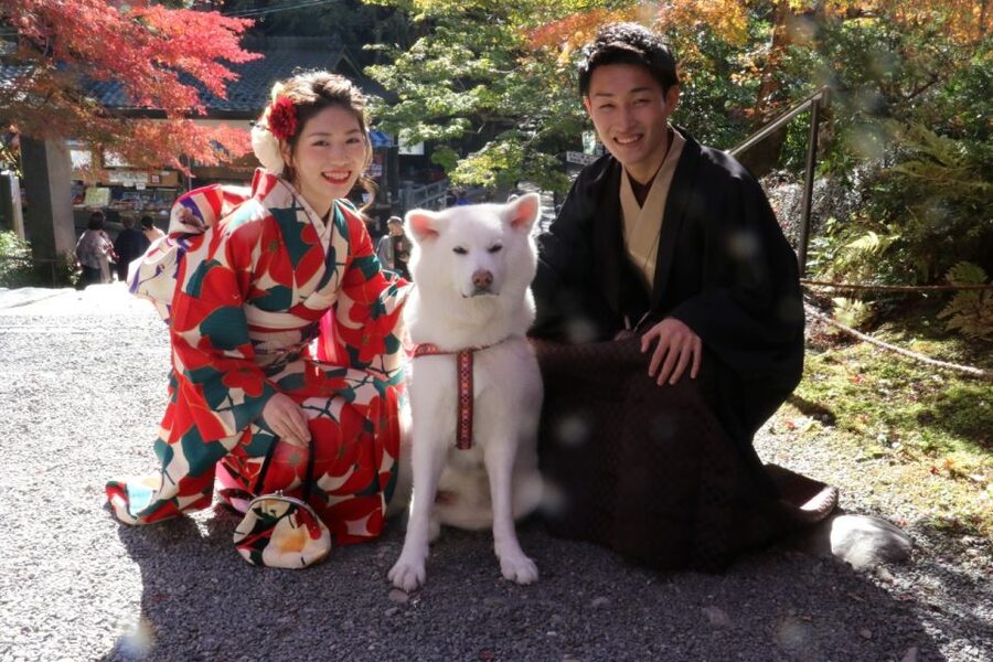 Kyoto: Kimono Rental Traditional Experience at Wargo in Gion - Practical tips for a smoother visit