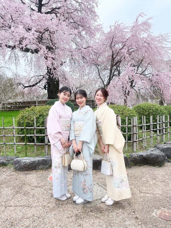 Kyoto: Kimono Rental Traditional Experience at Wargo in Gion - What happens during the fitting