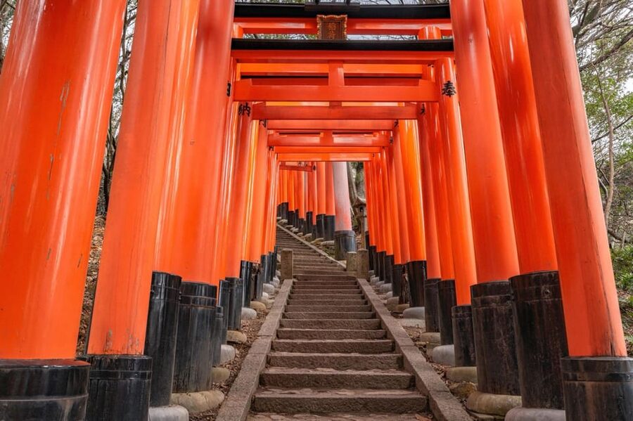 Kyoto: Kiyomizu-dera, Fushimi Inari & Gion Geisha District - Price, transport, and what to bring