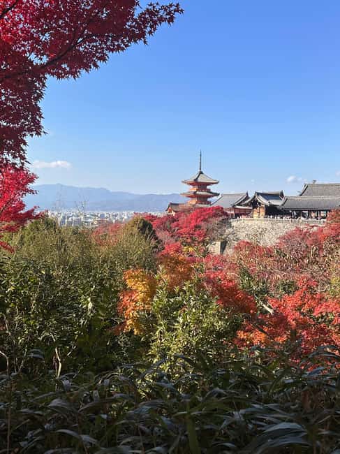 Kyoto: Kiyomizudera, Sanjusangendo, Kodaiji, and Gion. - Key points to know before booking