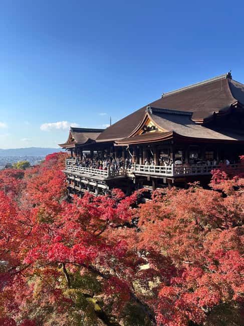 Kyoto: Kiyomizudera, Sanjusangendo, Kodaiji, and Gion. - Why this Kyoto route works so well