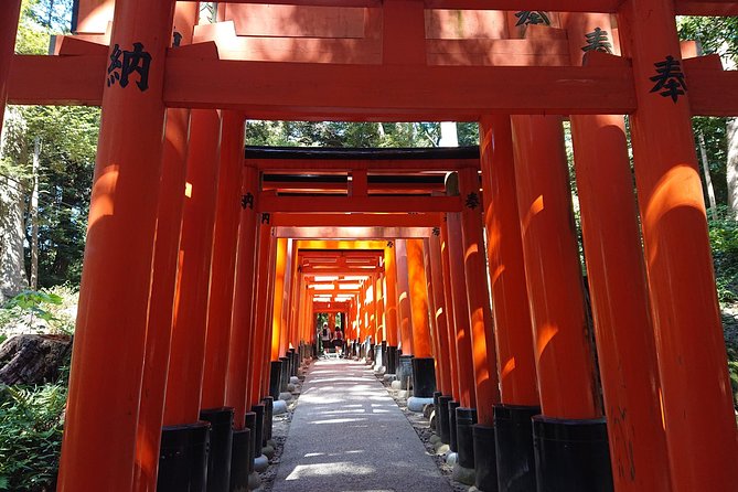 Kyoto Lazy Bird Walking Tour - Arashiyama Bamboo Grove: a beautiful first hour