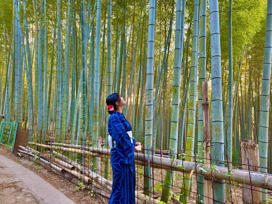 Kyoto Morning Highlights Tour: Fushimi, Kiyomizu-dera & Gion - Kiyomizu-dera and the view over Kyoto