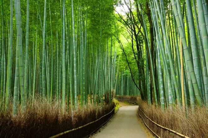 Kyoto Morning Tour with English Speaking Guide - Booking details worth knowing before you go