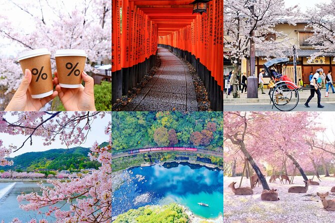 Kyoto-Nara Adventures Private Tour With Hotel Pick Up - Key points to know before booking