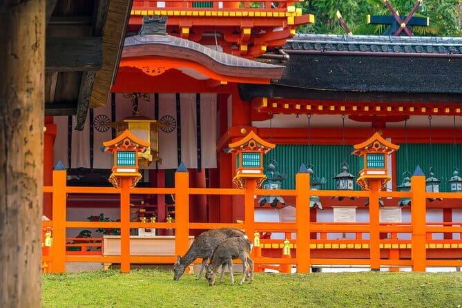 Kyoto & Nara Day Tour: Golden Pavilion, Fushimi Inari & Deer Park - Tenryuji and the garden beside the bamboo grove