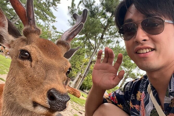 Kyoto & Nara Day Tour: Golden Pavilion, Fushimi Inari & Deer Park - Nara Park and the sacred deer