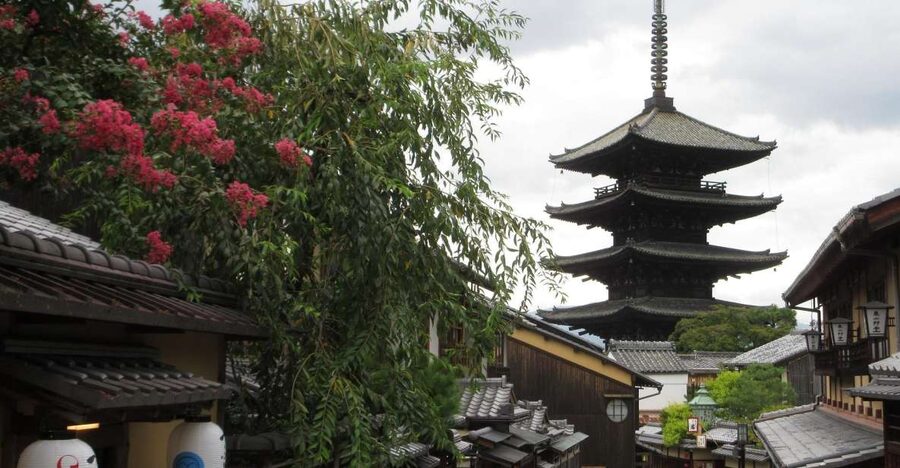 KYOTO-NARA: Giant Buddha Deer Pagoda "Geisya" (Italian, full day) - Is $176 a fair price?