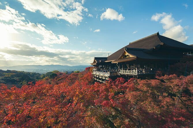 Kyoto&Nara&Osaka: One day private Customized Car tour - What the driver-guide adds to the day