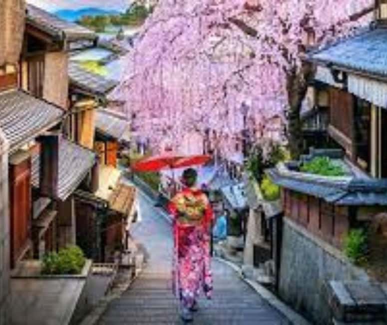 Kyoto & Nara Private Customized, Guided Tour - Fushimi Inari brings a different kind of temple visit