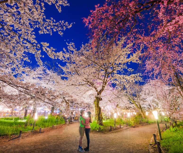 Kyoto & Nara Private Customized, Guided Tour - Kiyomizu-dera closes the temple portion with city views