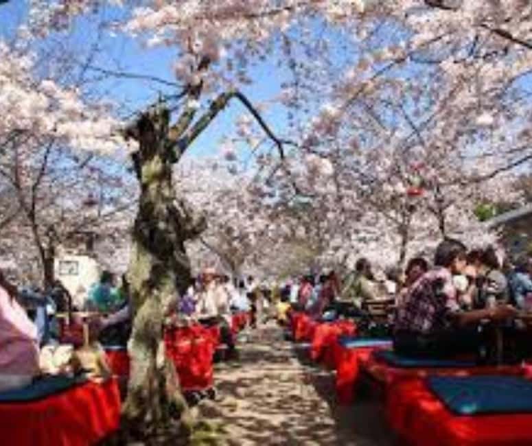 Kyoto & Nara Private Customized, Guided Tour - The van matters when the day lasts 10 hours