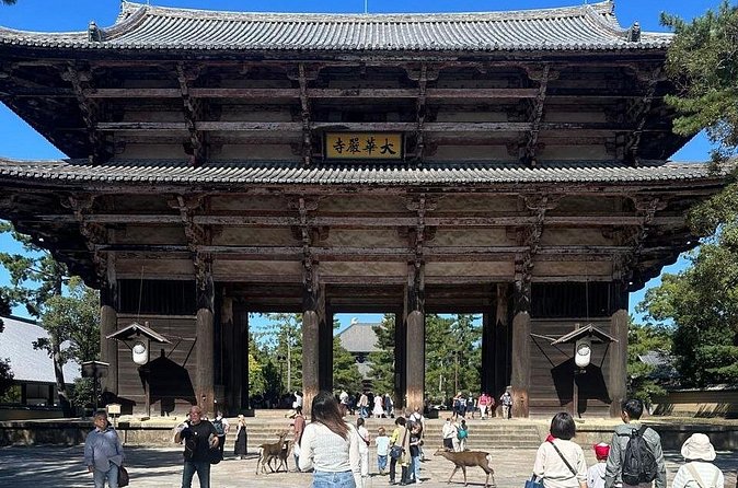 Kyoto & Nara: Private Day Tour by luxury Vehicle & English Guide - Fushimi Inari: red torii gates and a choice about distance