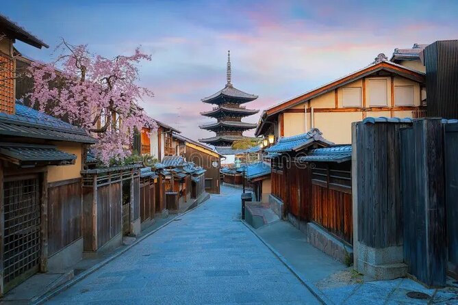 Kyoto & Nara: Private Day Tour by luxury Vehicle & English Guide - Gion and the route details you should confirm