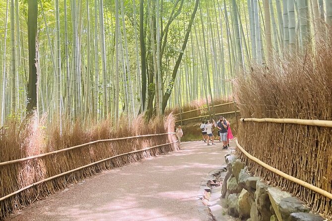 Kyoto & Nara: Private Day Tour by luxury Vehicle & English Guide - Price, group size, and what the day really costs