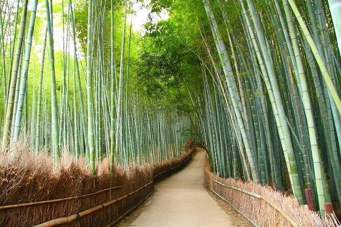 Kyoto & Nara Private Tour from Osaka Kyoto Hotel Pick-up - One packed day from Osaka or Kyoto