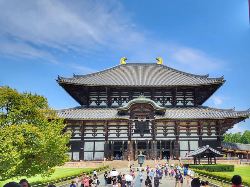 Kyoto: Nara, Todaiji, Kasuga Taisha Shrine Private Full Day - Key points to know before booking