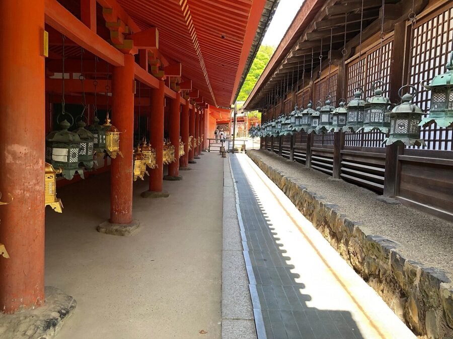 Kyoto: Nara, Todaiji, Kasuga Taisha Shrine Private Full Day - Choosing lunch at Kotoya Restaurant