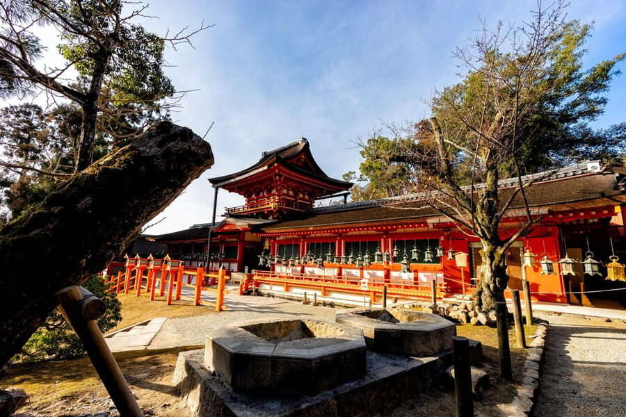 Kyoto: Nara, Todaiji, Kasuga Taisha Shrine Private Full Day - Kofukuji and the early story of Nara