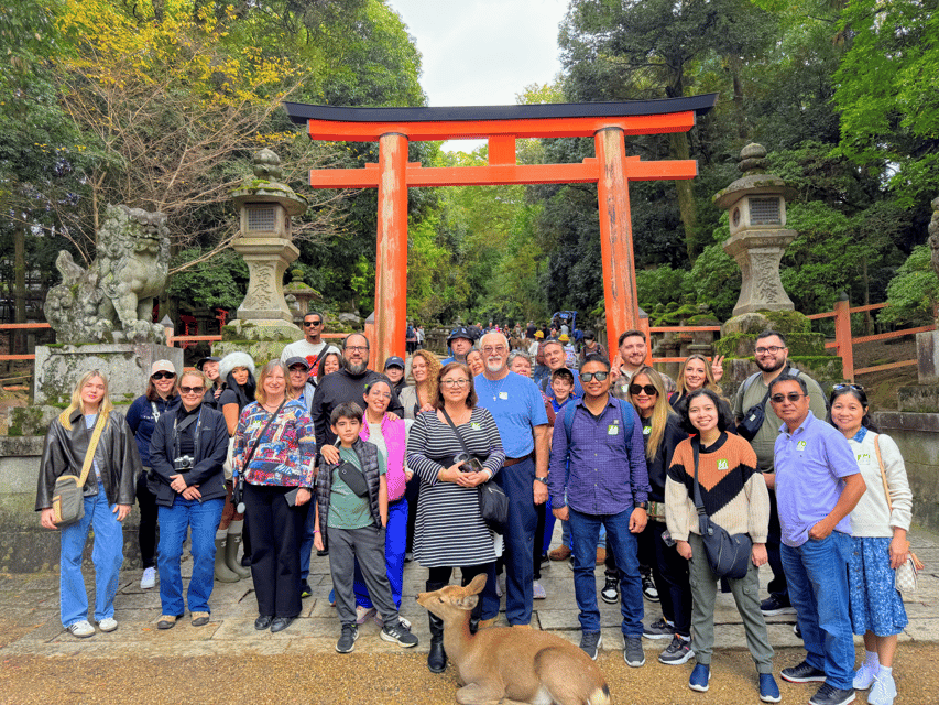 Kyoto: Nara & Traditional Matcha Experience Bus Tour - Key points to know before booking