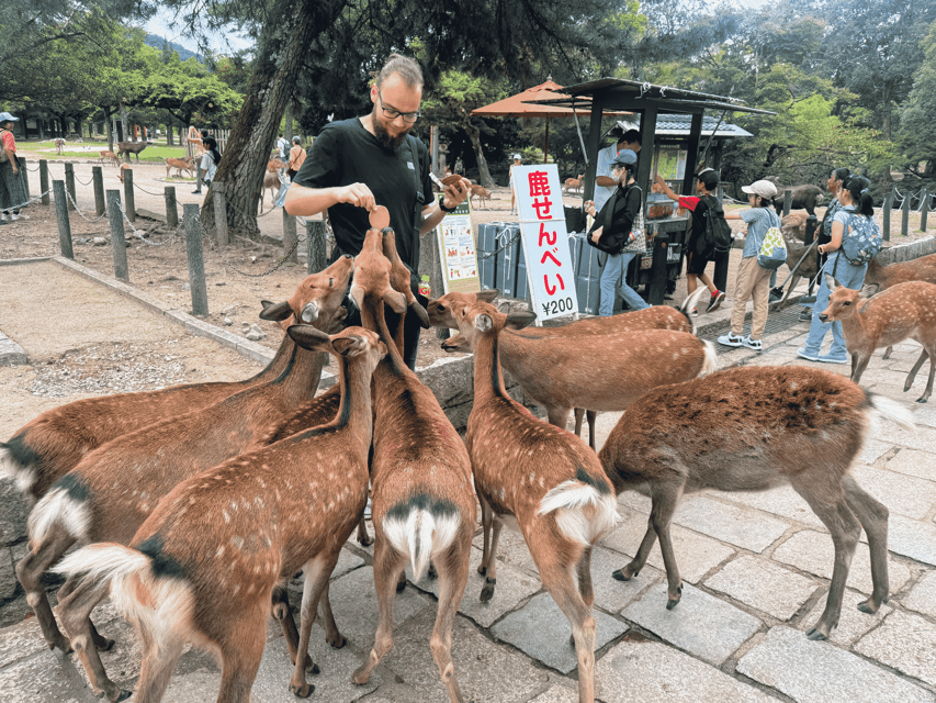 Kyoto: Nara & Traditional Matcha Experience Bus Tour - The guides make a real difference