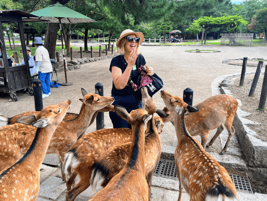 Kyoto: Nara & Traditional Matcha Experience Bus Tour - Kasuga Taisha and Nara’s lantern paths