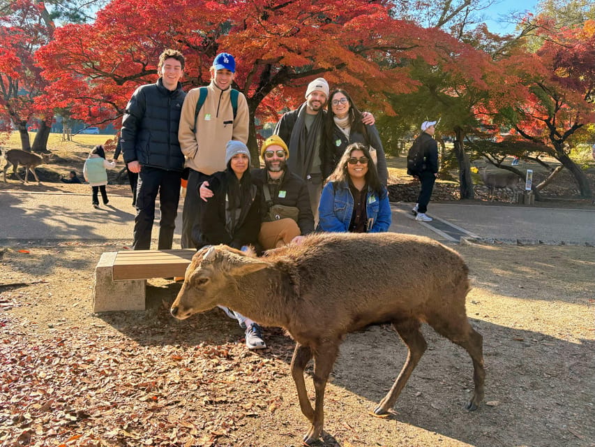 Kyoto: Nara & Traditional Matcha Experience Bus Tour - Starting near Kyoto Station at 8:00 AM