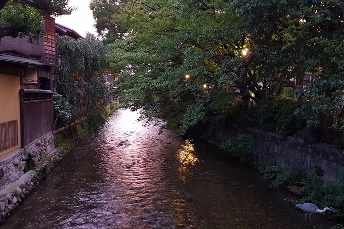 Kyoto Nighttime All-Inclusive Eats and Streets, Gion and Beyond - Pontocho, Kiyamachi, and Kawaramachi after dinner