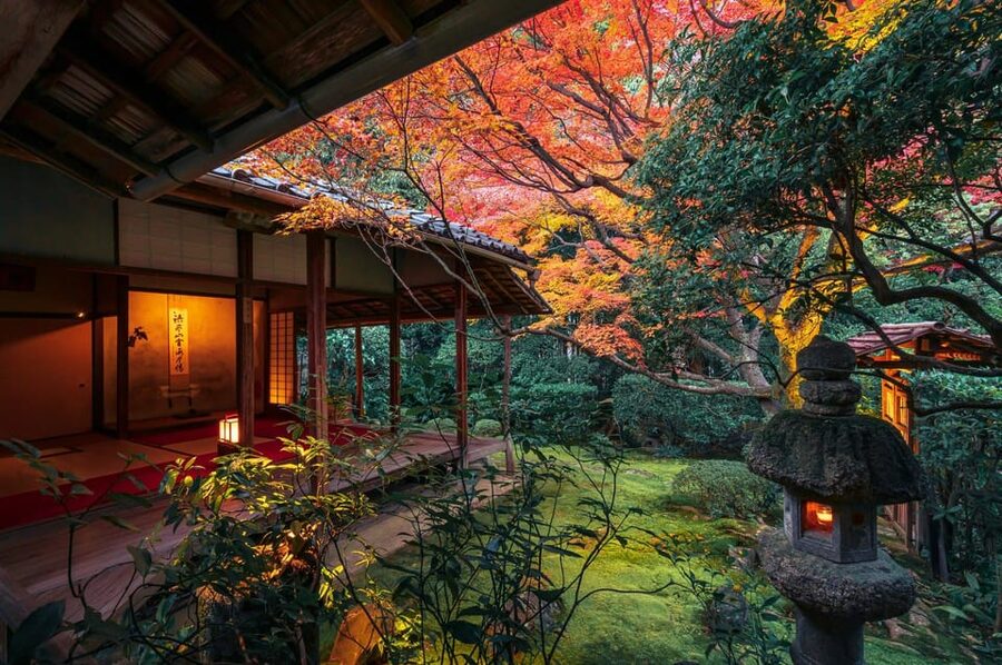 Kyoto: Nighttime Zen Meditation and Matcha Tea Experience - Why Keishunin feels different after dark