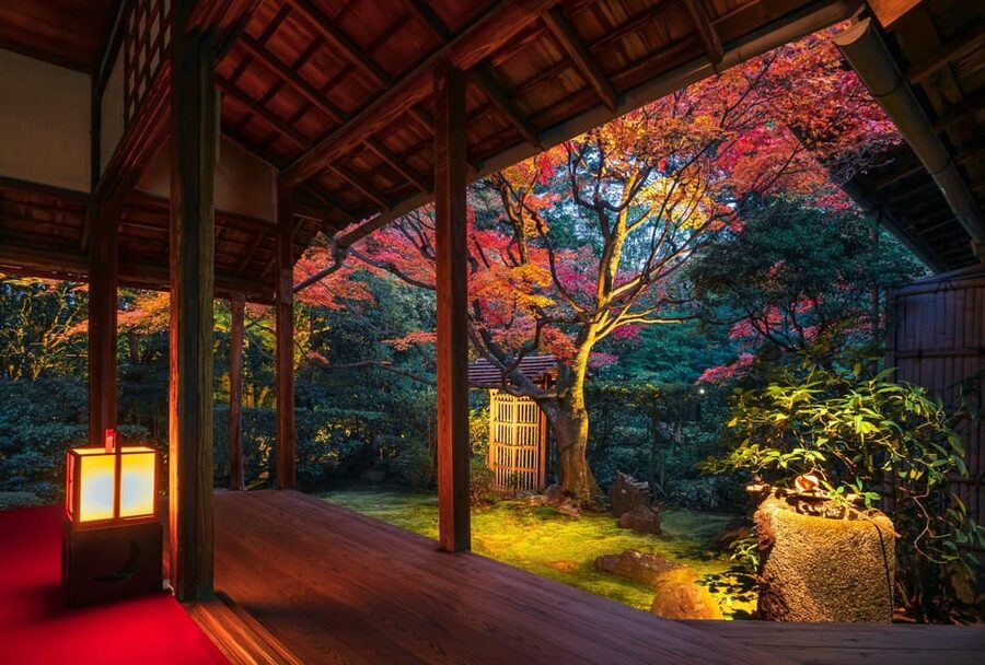 Kyoto: Nighttime Zen Meditation and Matcha Tea Experience - Sehakuan and Kano Sansetsu’s painted doors