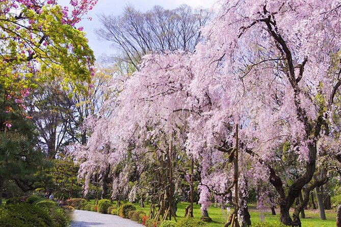 Kyoto: Nijo Castle World Heritage Guided Tour with Admission - Price and what you receive for $39.24